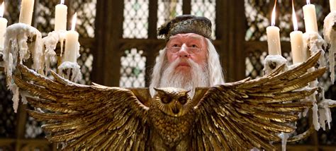 Hidden knowledge of the reappearance of dumbledore in the world of magic